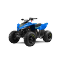CF Moto CFORCE 110 EFI - More fun!