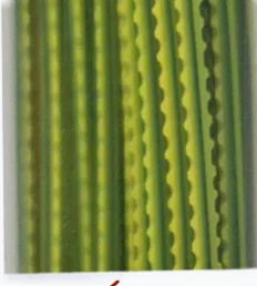 Oregon Gul Techni-Blade 26Cm, 205St