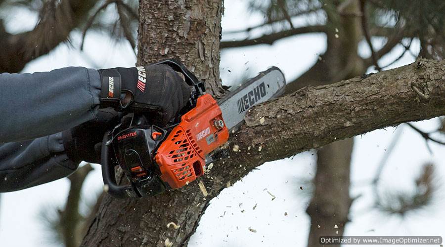 ECHO CS-2511TESC Topphandssåg - Arboristernas favorit