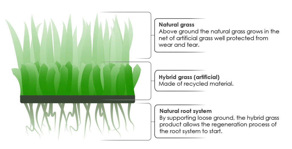 Grimsholm Hybrid Turf 1x1 m