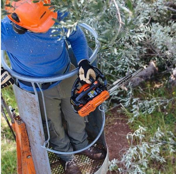 ECHO CS-2511TESC Topphandssåg - Arboristernas favorit