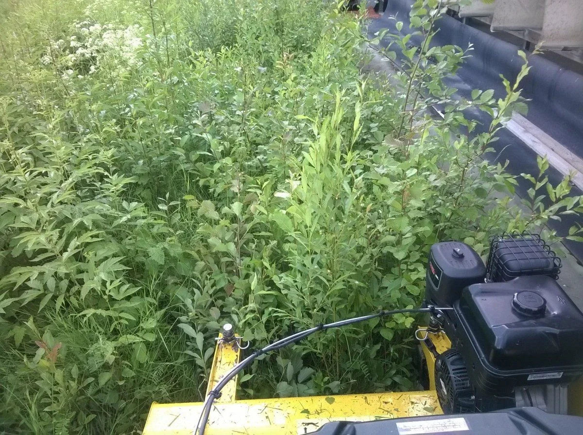 Rammy Front-mounted Flail Mower/Flail Cutter