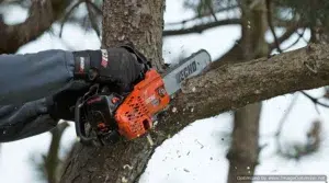 echo chainsaw cs2511tes 3 Optimized